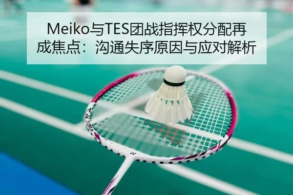 Meiko与TES团战指挥权分配再成焦点：沟通失序原因与应对解析